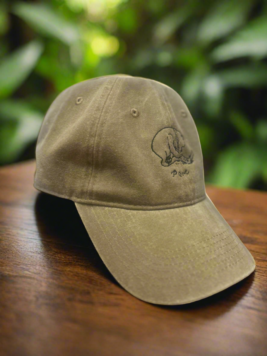 Winnie-The-Pooh Hat - Pooh's Signature Cap - Khaki